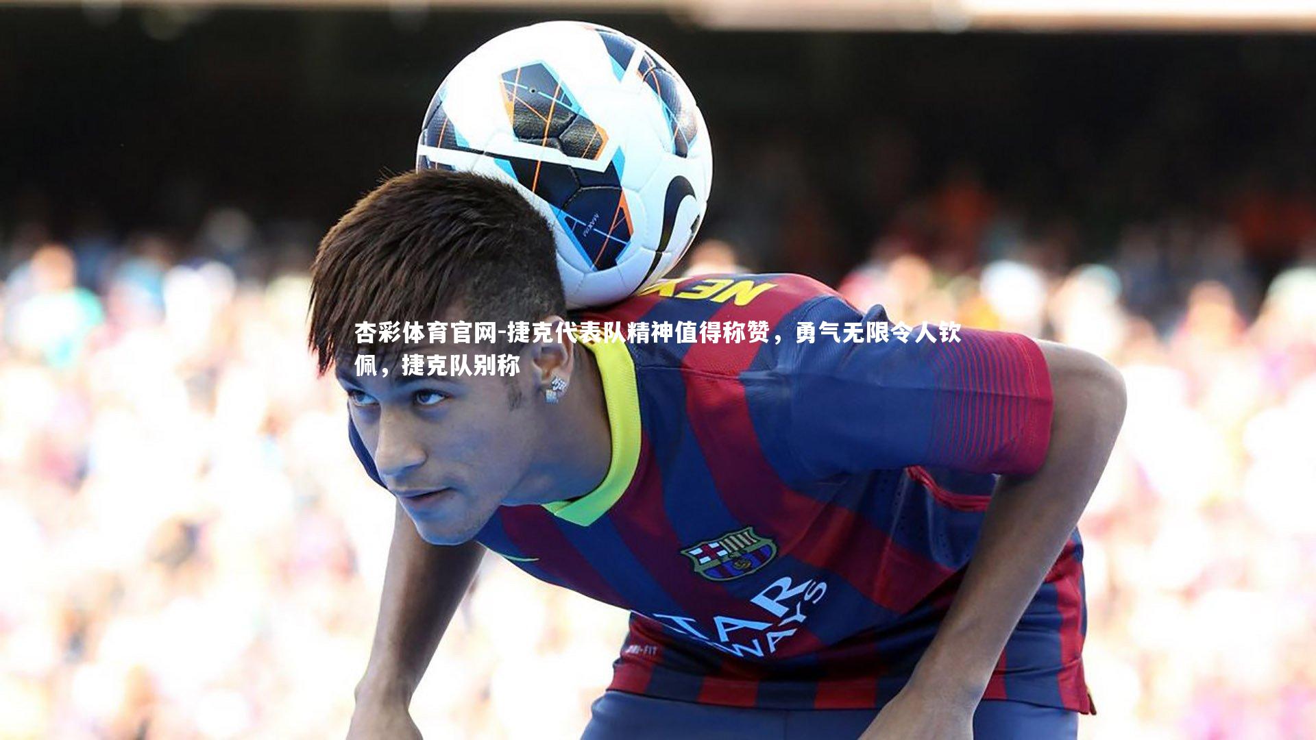 捷克代表队精神值得称赞,勇气无限令人钦佩,捷克队别称